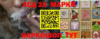 гидропоника Тверь